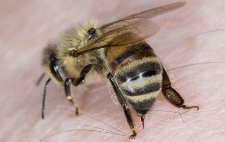 लिंग वृद्धि के लिए मधुमक्खी उत्पाद